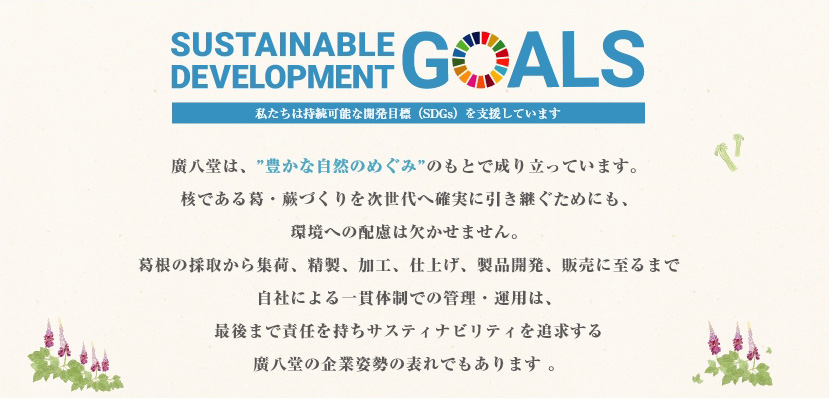 SUSTAINABLE DEVELOPMENT GOALS